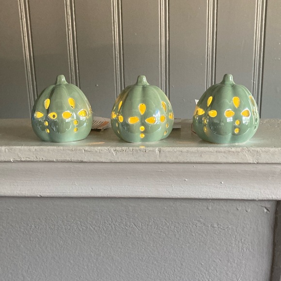 NWT Set of 3 LED Light Up Ceramic Pearl Glazed Petal Cutout Pumpkin Decorations - Picture 4 of 17